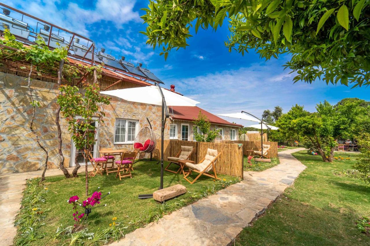 קמר Kamkat Otel מראה חיצוני תמונה